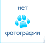 no photo