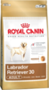 Royal Canin Labrador Retriever 30 Adult, 12+2 ��